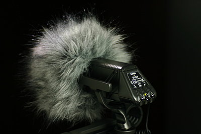 Finally saw Rode Stereo Videomic(SVM), am I the only one who thinks it's really ugly?-svm_rear.jpg