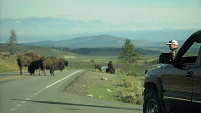 Yellowstone, Jackson Hole, Letus, Oh My-snapshot20070916082707.jpg