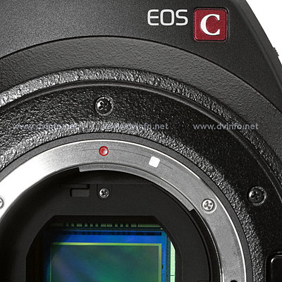 C300 and still lenses compatibility-c300-efs.jpg