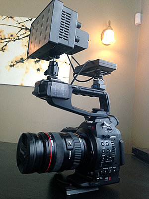 External Mic Mode Setting C100-1a.jpg