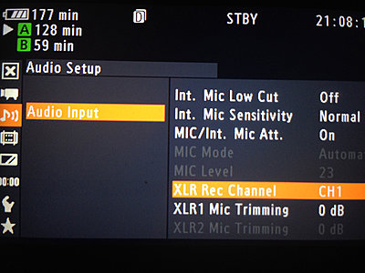 External Mic Mode Setting C100-5.jpg