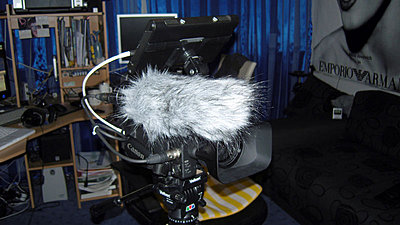 NTG-2 on the XH-A1 mic holder...will I regret not using a shock mount?-deadcat2.jpg