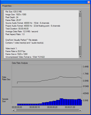 24p file does not play in real time-properties.png