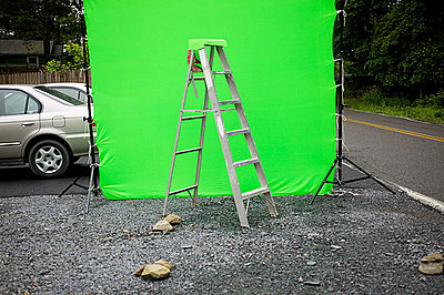 Buying a green screen, and some lights-3626349791_dcf5072320.jpg