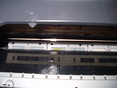 Ending the Epson DVD Printer Push-Pull Problems-inner-paper-guide-rollers.jpg