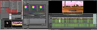 AVCHD Workflow-screenshot-edius-edit.jpg