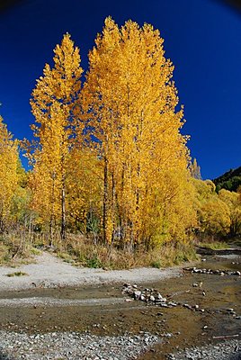 Post pics of your setup-arrowtown-river.jpg