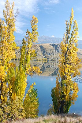 Post pics of your setup-lake-hayes-nr.-queenstown.jpg