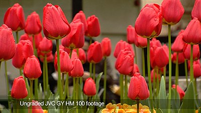 Video review of JVC GY-HM 100-still1.jpg