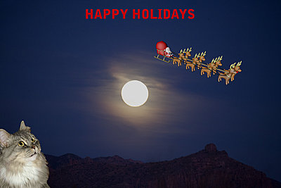 Full Moon Shoot-bella-santa.jpg