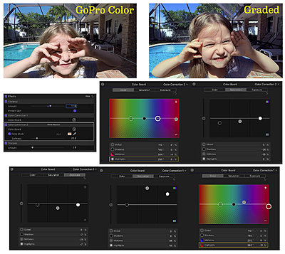 How do you go about grading GoPro's Protune w/Native WB?-protunegrading.jpg