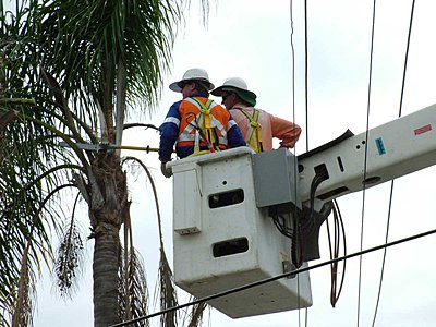 Shooting from 150' above ground, anyone done this?-powerlines-3.jpg