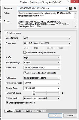 Sony DSC-RX10 AVCHD problems-sony-max-bitrate.jpg