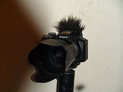 The Einstein Microphone Windscreen for a Photo Camera-dsc03455.jpg