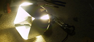 Shooting with Compact Fluorescent Lights (CFLs).-barndoors-4.jpg