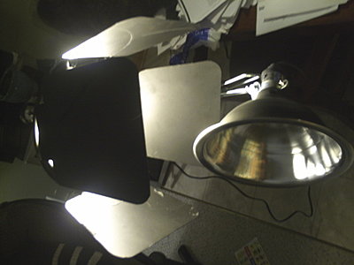 Shooting with Compact Fluorescent Lights (CFLs).-barndoors-6.jpg