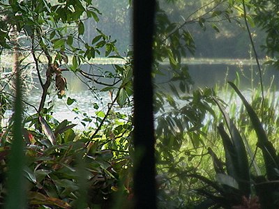 Shooting against a window-outdoor-doug3.jpg