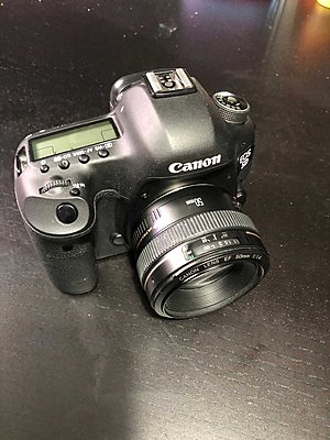 Canon 5d Mark III 50-img_0536.jpg