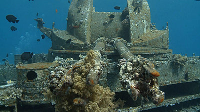 Artificial coral reefs in the Gulf of Aqaba - An underwater documentary-artificial-reefs-gulf-aqaba.mp4_snapshot_01.59_-2011.05.12_19.44.52-.jpg