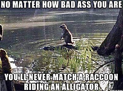 Alligators are courting now!-85fe98d499774331-07-26-20-40-41-77777.jpeg