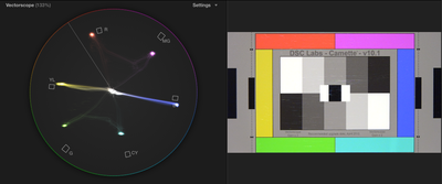 PXW-X70 + DSC Chart + Vectorscope-screen-shot-2014-10-04-5.35.51-pm.png