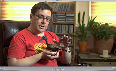 NEX-FS100U compared to Canon 5Diii-highlights-fs100.jpg