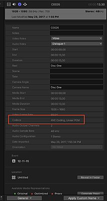 FCPX & Sony RX100V 4K?-infopane.jpg