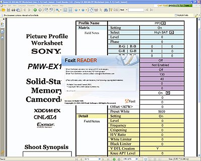 EX1/3 Picture Profile Worksheet/Form-pp-worksheet-ver.1.1-foxit_saved.jpg