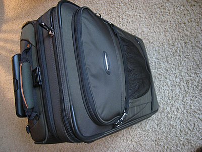 small "carry-on" size case for EX-1?-case-2-.jpg