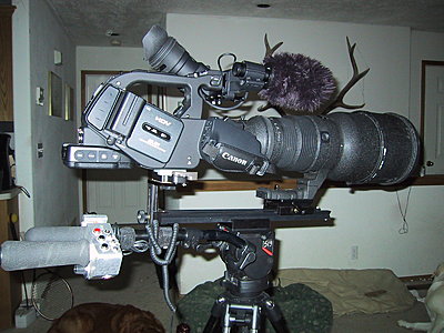 16lbs of camera combo-img_0634.jpg