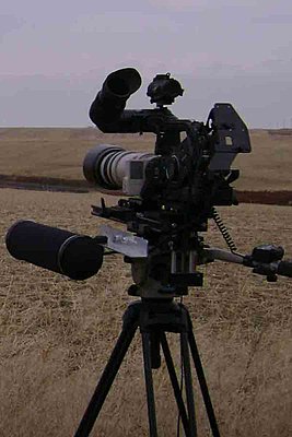 C300 long lens support-camera-2.jpg