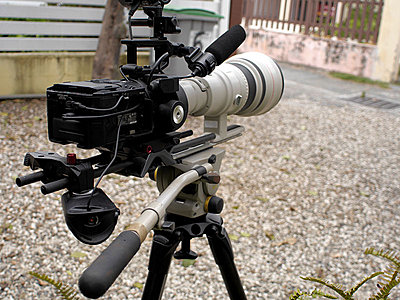 Sony FS700 for wildlife filmmaking : a subjective review-p1020093.jpg