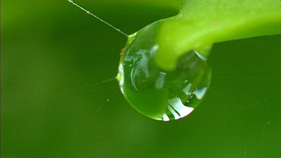 Atkins - By design - UWOL long form-waterdrop.jpg