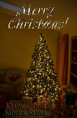 Season's Greetings Everyone!-christmas_tree2.jpg