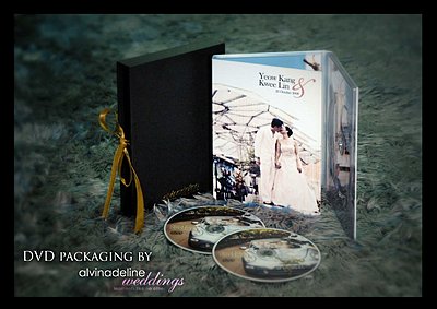 Packaging-01-double-dvd.jpg