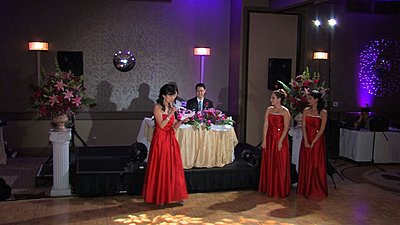 Reception Lighting?-videolightwith.jpg