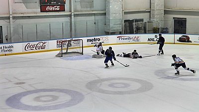 Tips for shooting hockey?-04-cypressbay-sticksave.jpg