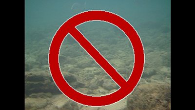 Universal 'No' Symbol-image3.jpg