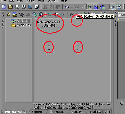 Thumbnail size in Project Media pane-thumbs.jpg