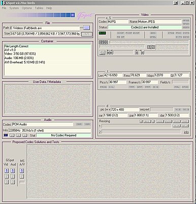 Can Hear But Not See an .avi File.-gspotfile-inf.jpg